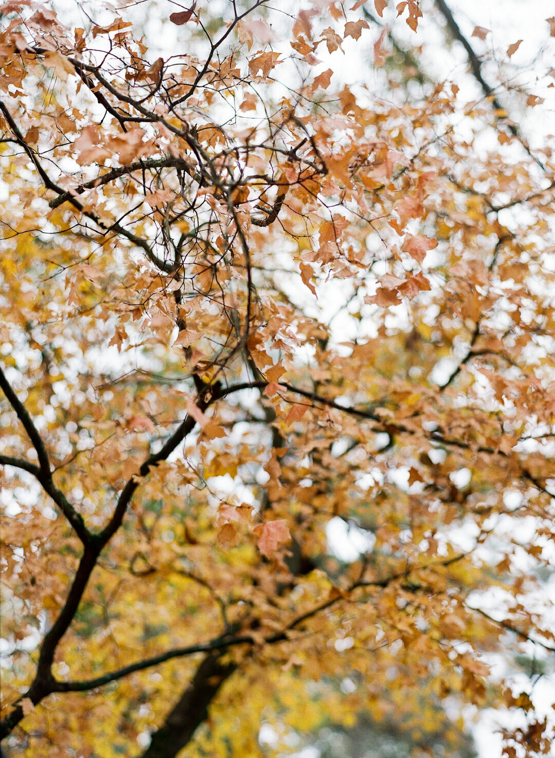 Atlanta-Georgia-Swan-House-Wedding-Photographer-0004