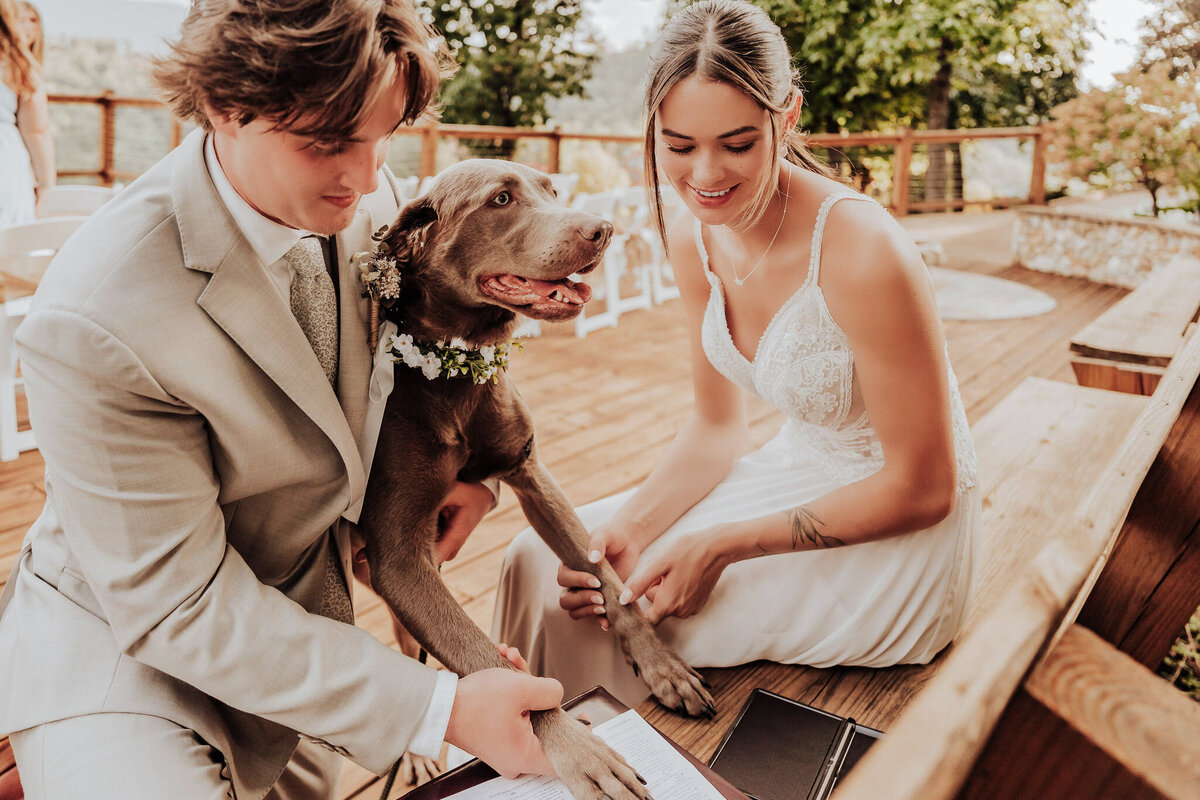 sevierville micro wedding-141