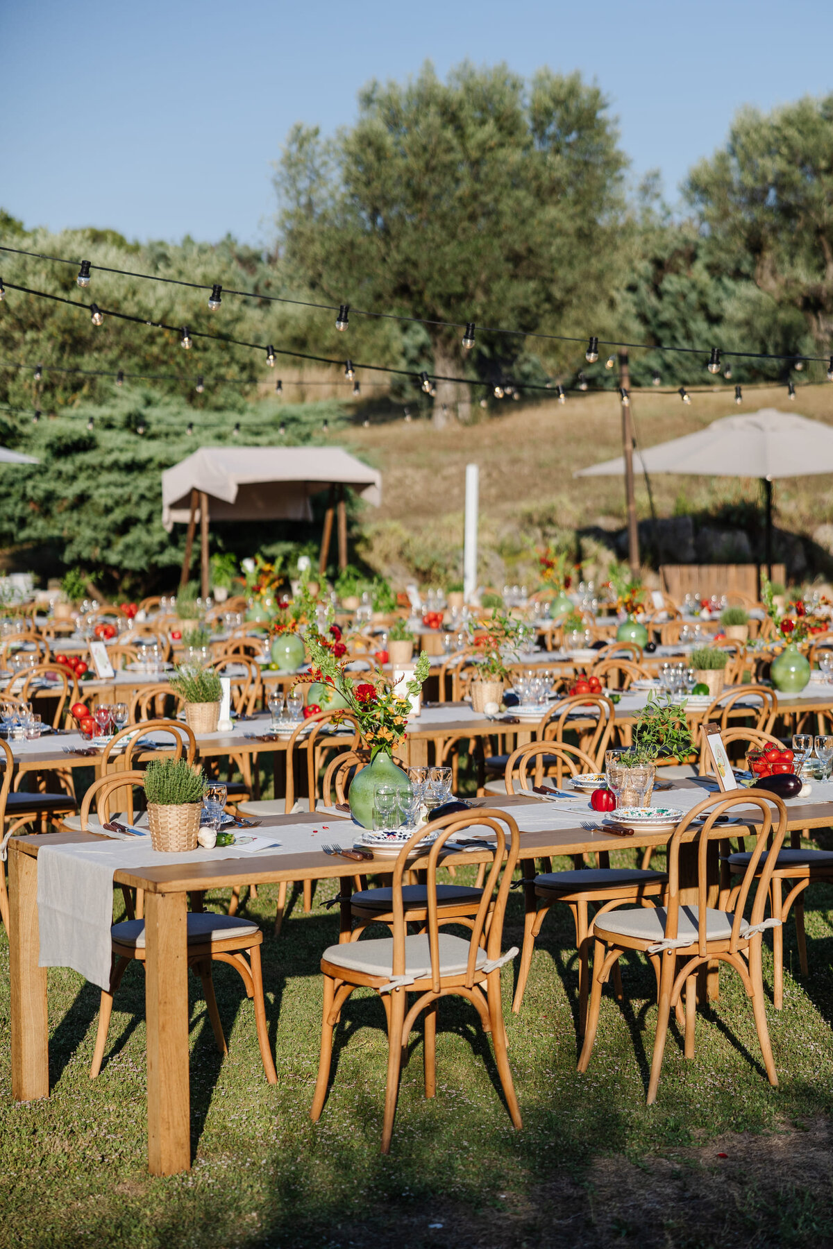 Provence-outdoor-welcome-dinner