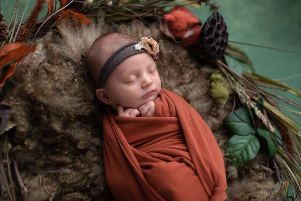 Wrapped newborn in Furry Background