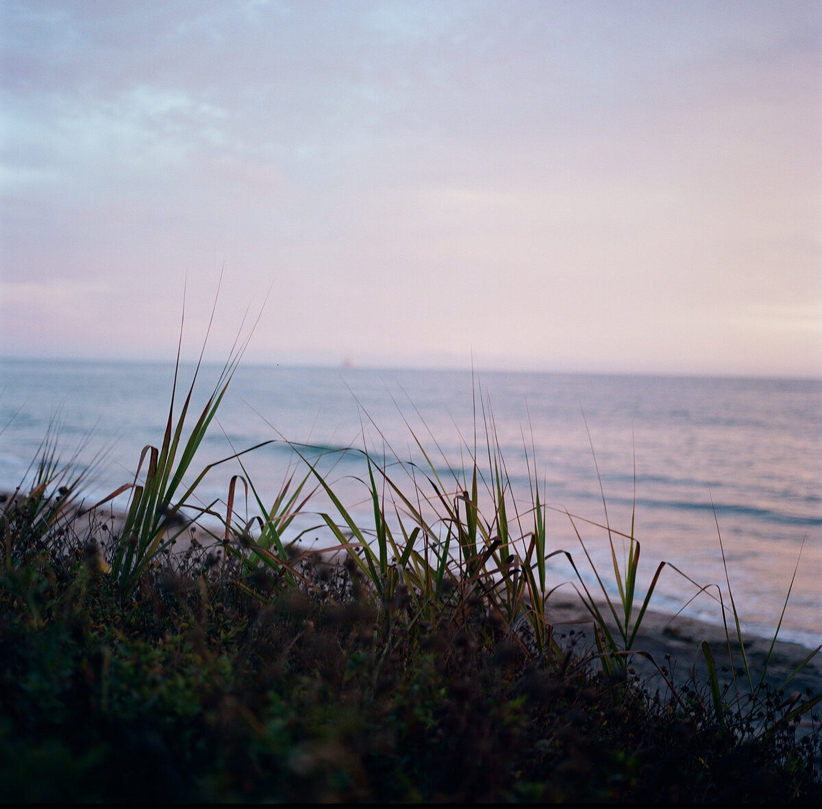 Claire+Gordon_Wedding_120Film-12