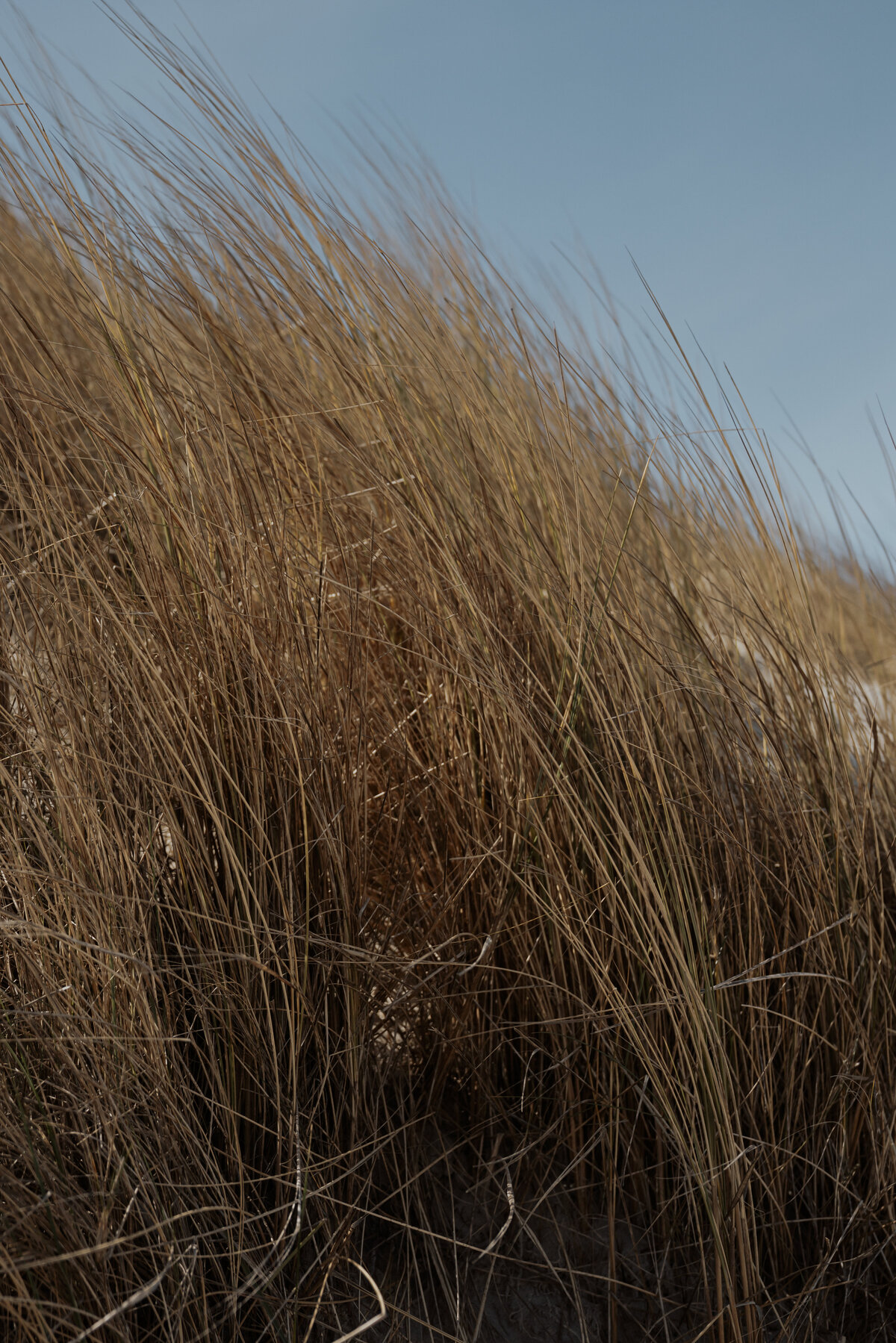 Texel Wedding-17