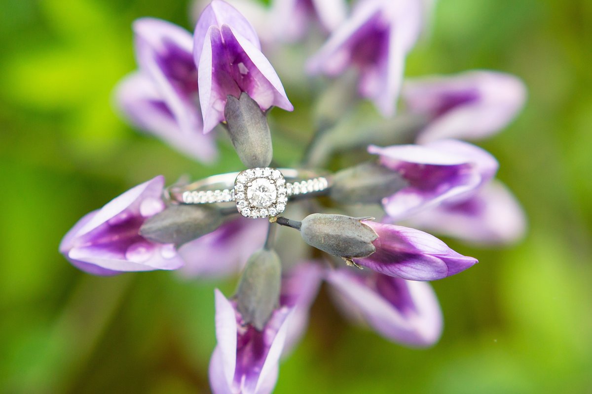 Diamond engagement ring sitting on a purple wildflower