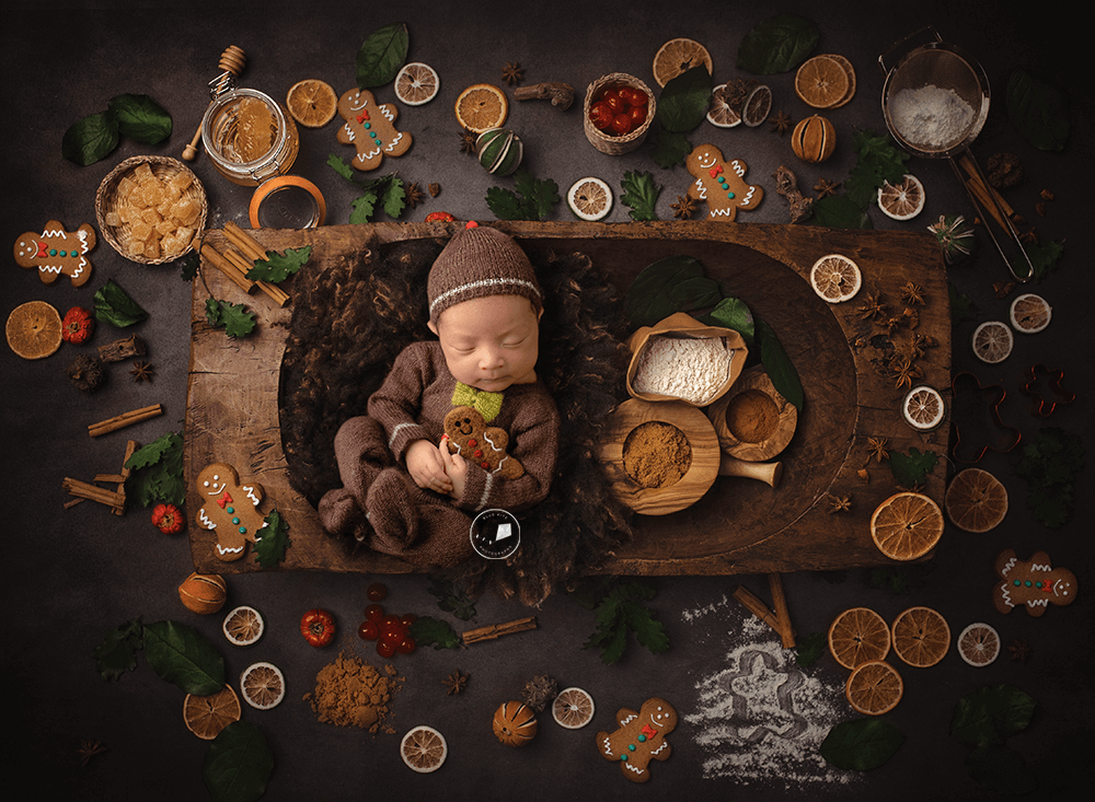 Boca-Raton-baby-photo-session-gingerbread-Edit