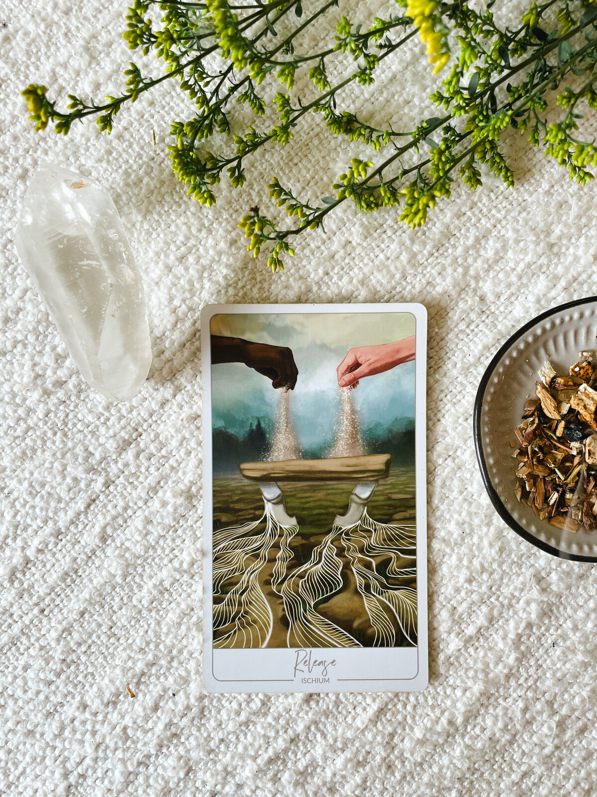 Close up of the "Release" Oracle Card showing the hands of a white person and a Black person sprinkling dust onto a log and lines radiating out from it