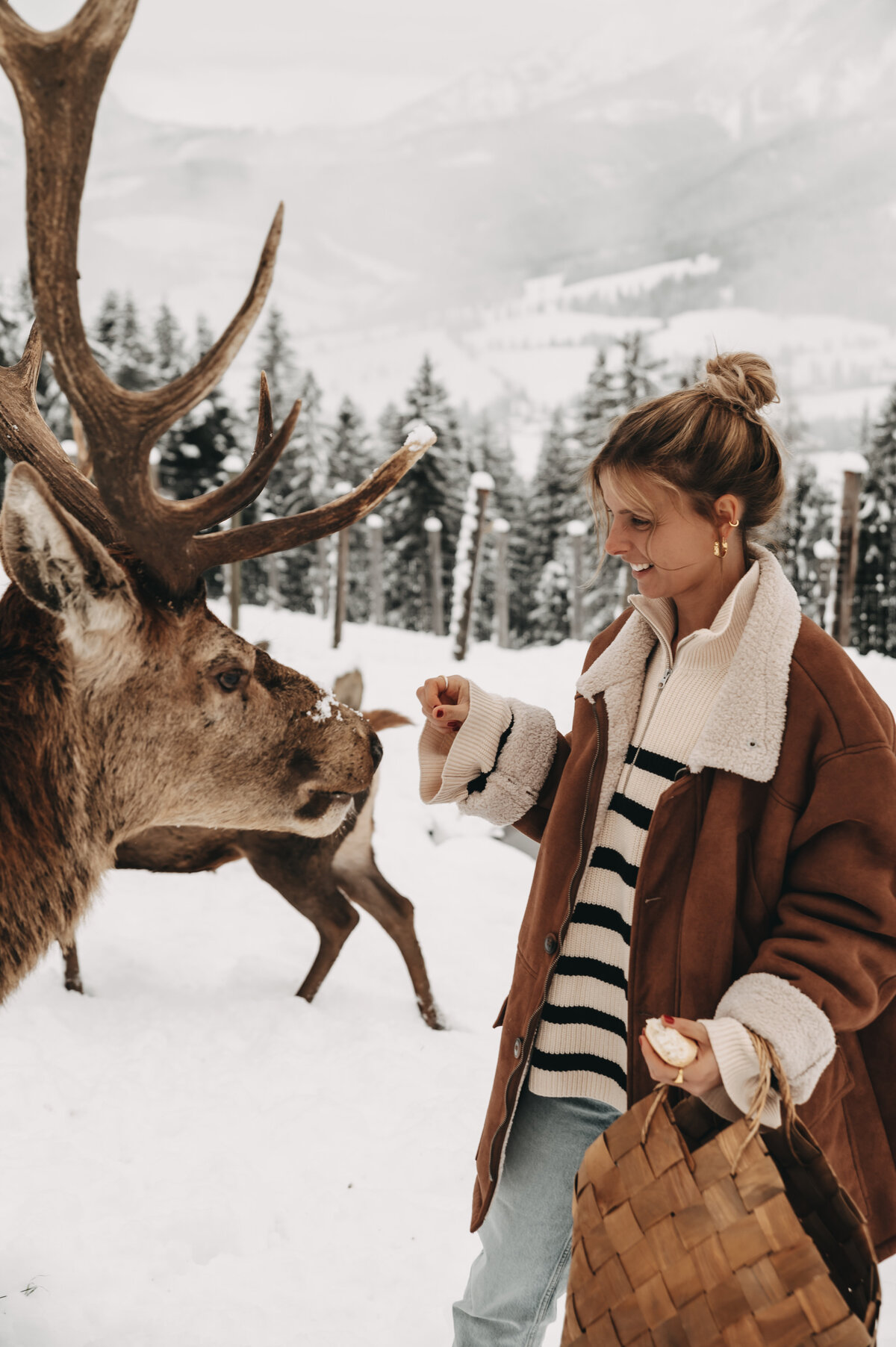 tiere-jufenalm-wildgehege-winter20