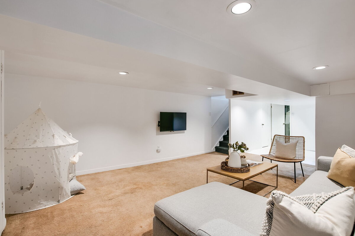 47-web-or-mls-60_003_Lower Level