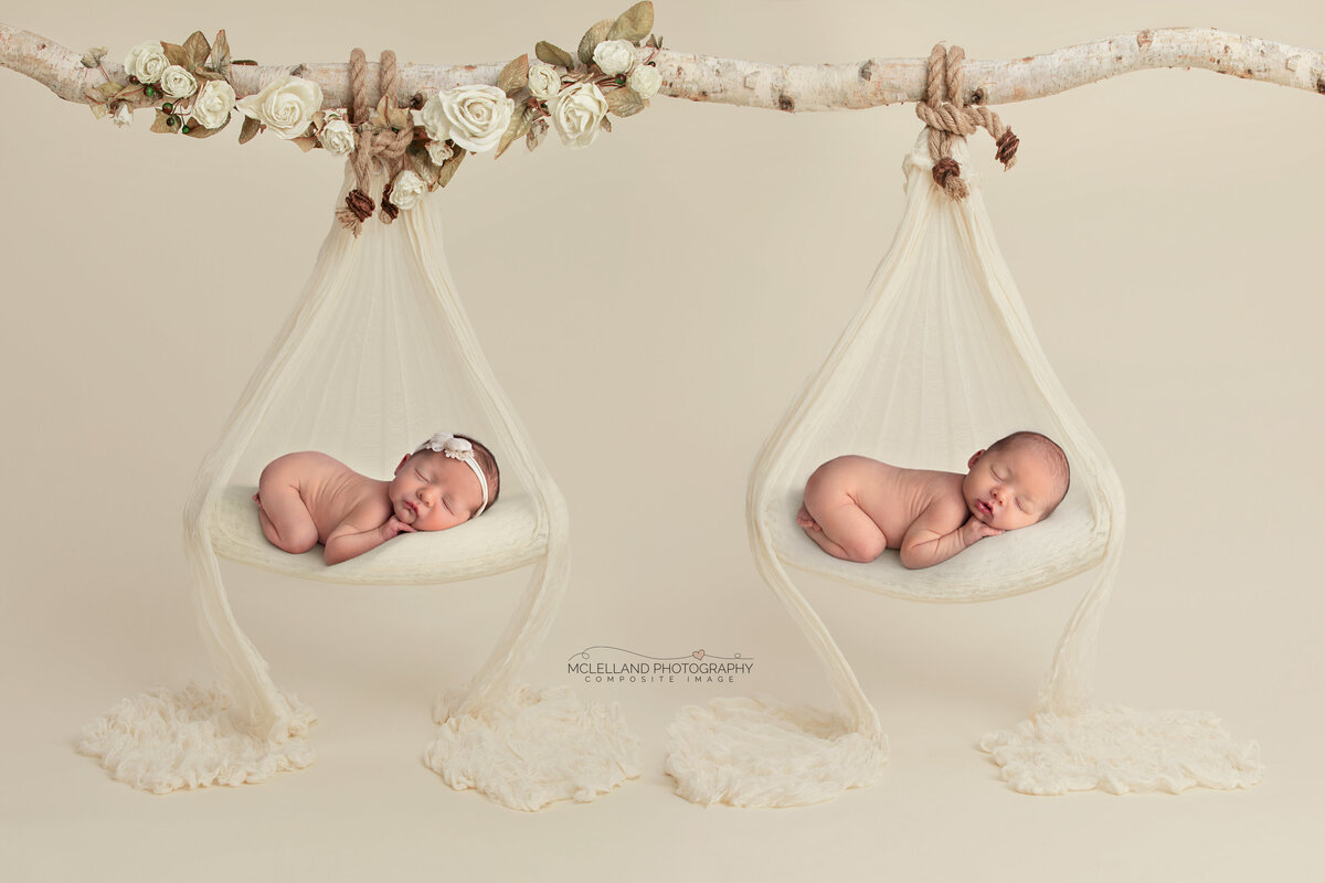Twin newborns posed together in matching beige swings - Oakville newborn photographer
