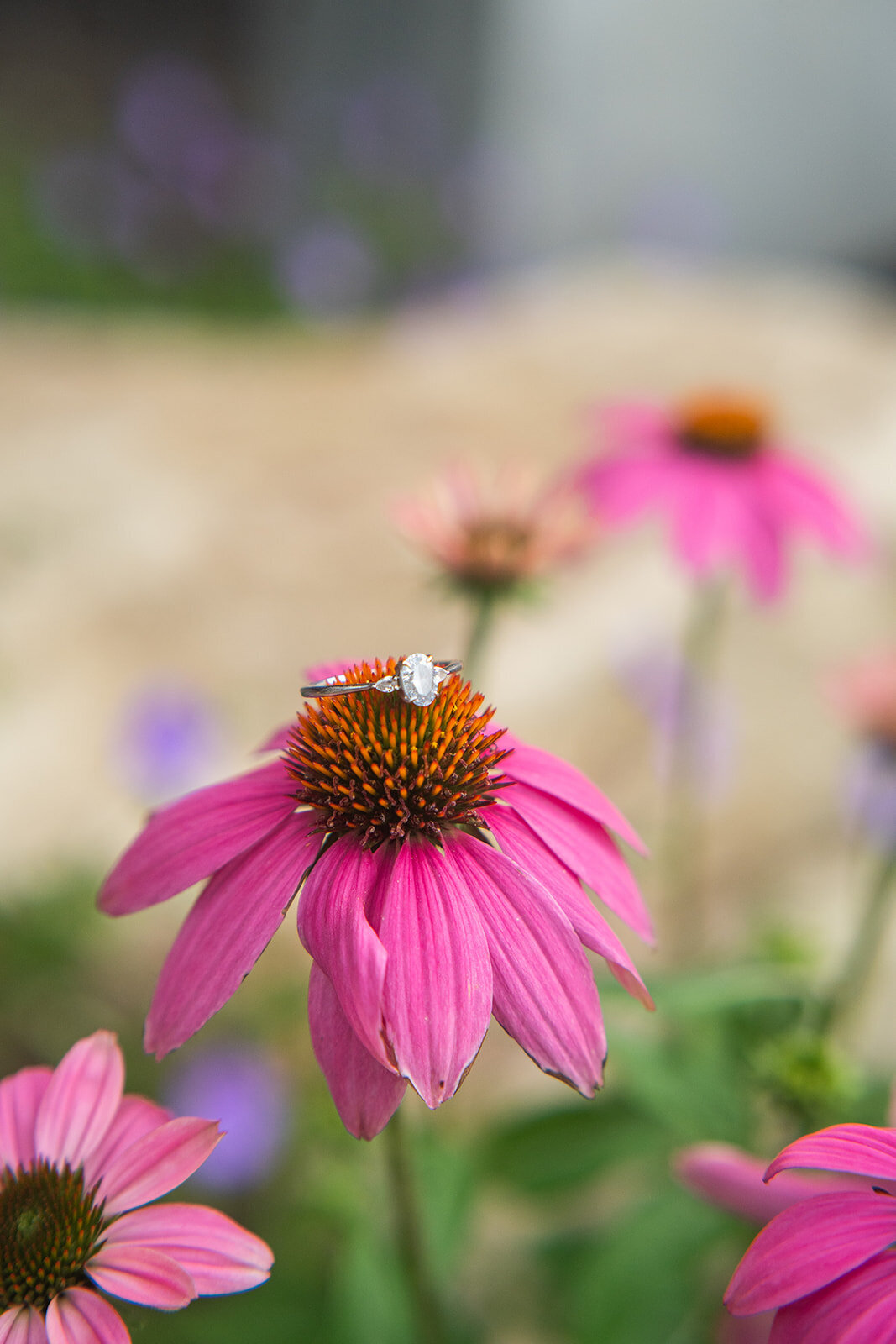 DSC00965_websize