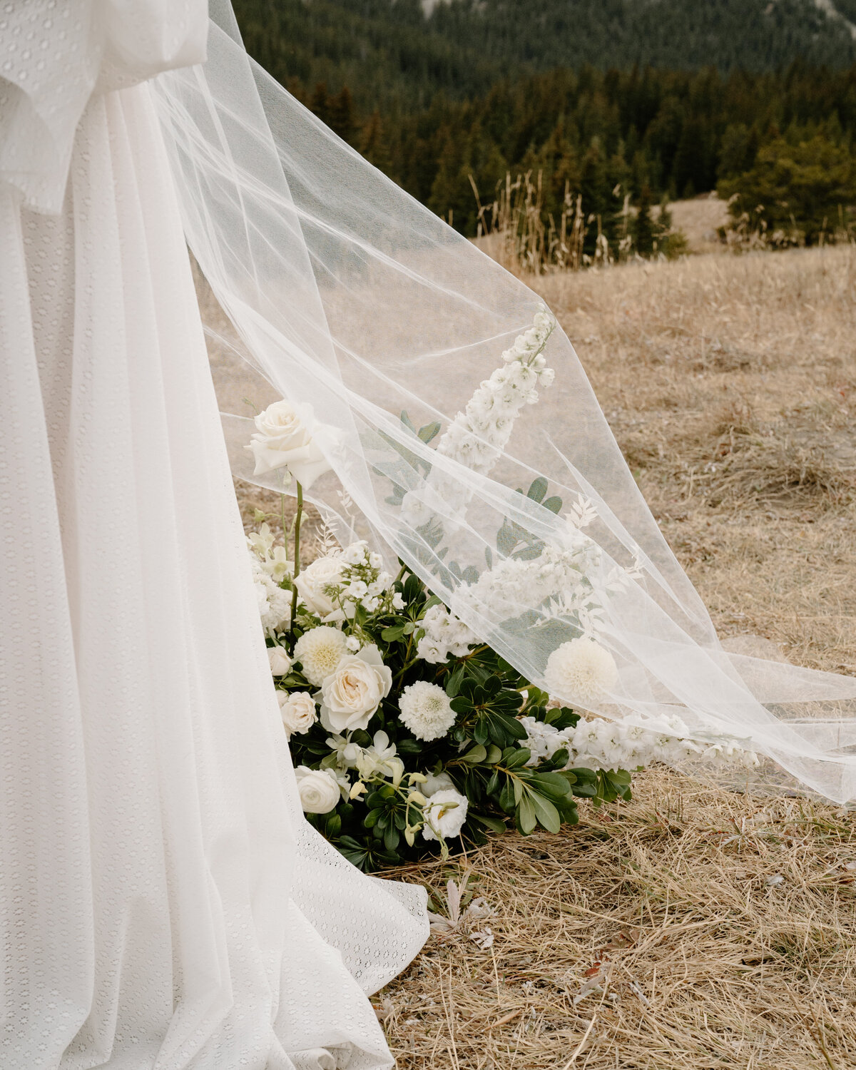 JessicaLuannPhoto-307