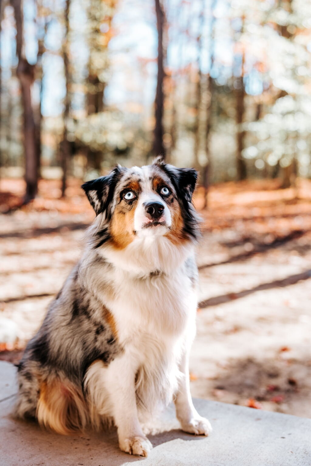 6-web-or-mls-HENRY-7