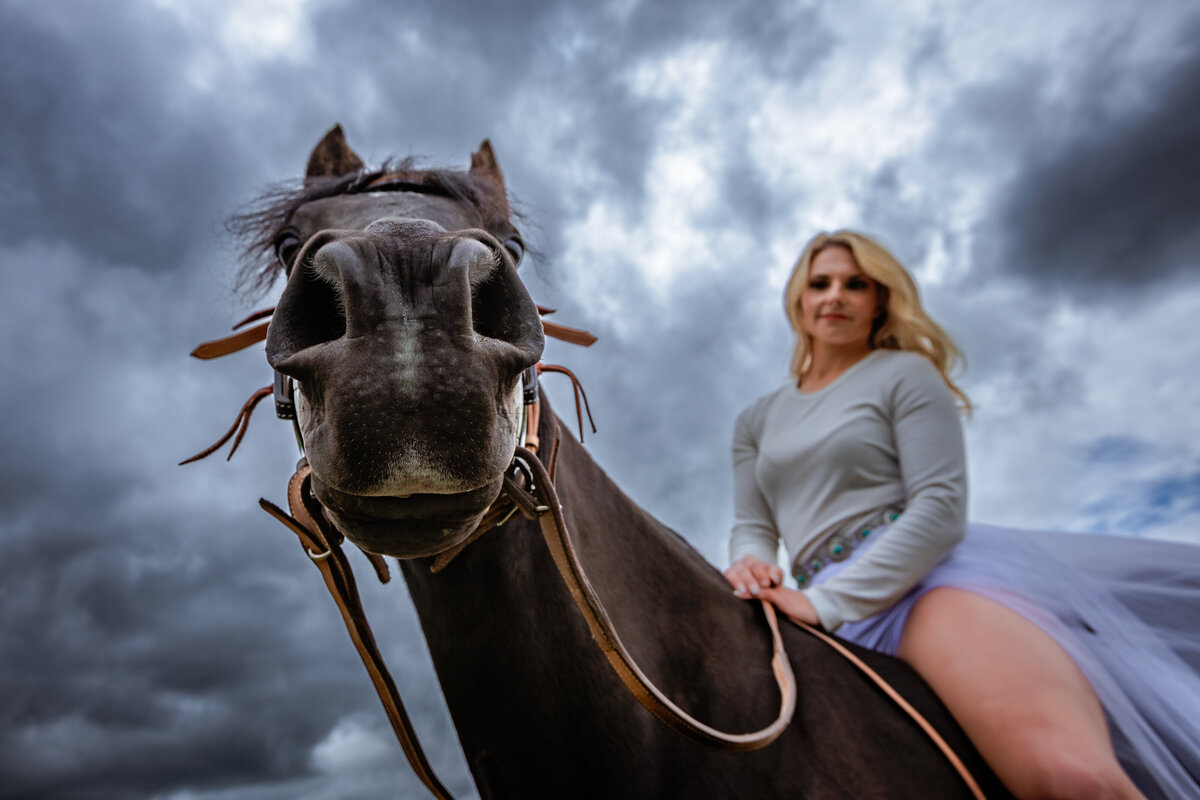 horse-photographer11