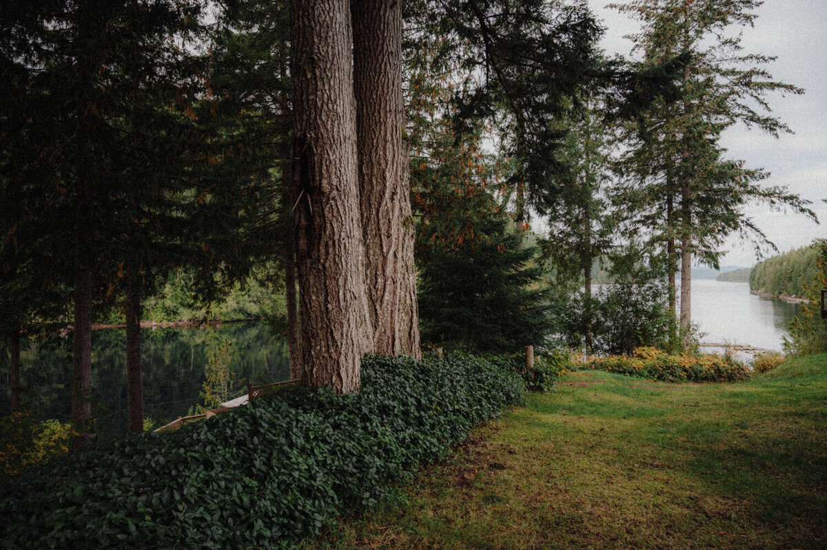 Strathcona Park Elopement-18