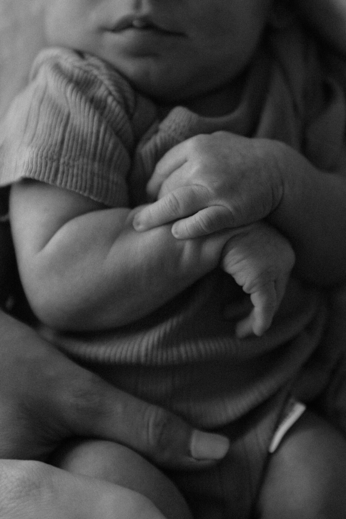 Schultz Newborn 2025-5