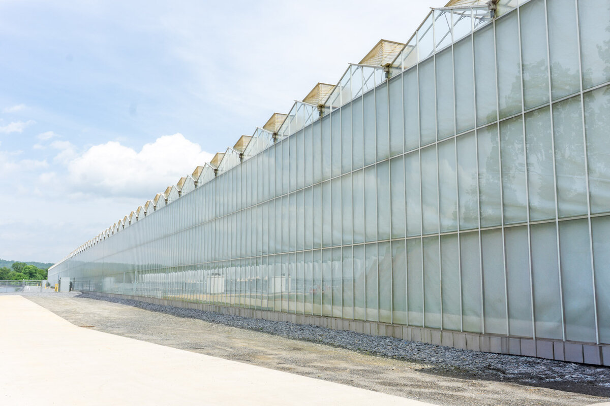 Nourse Farms Web Size-04