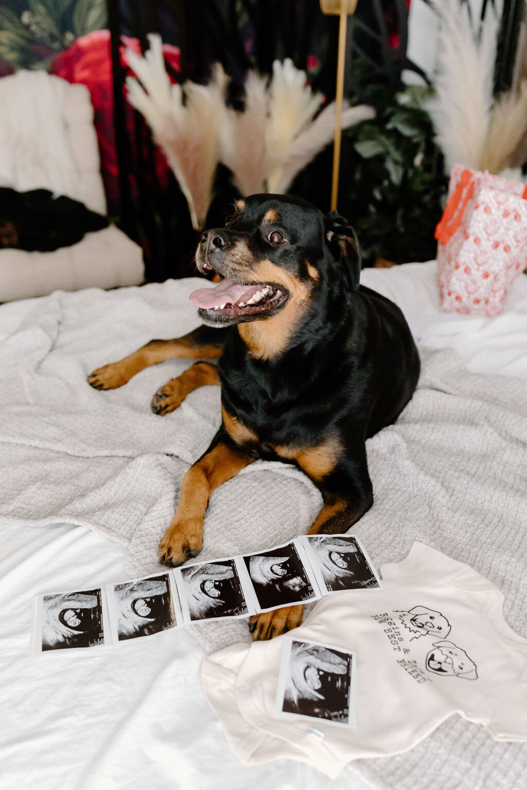 christina_ney_photography_wedding_engagement_lifestyle_photographer_dubuque_iowa_wedding_planning_assistance_adventurous_bold_laidback Family Photography106