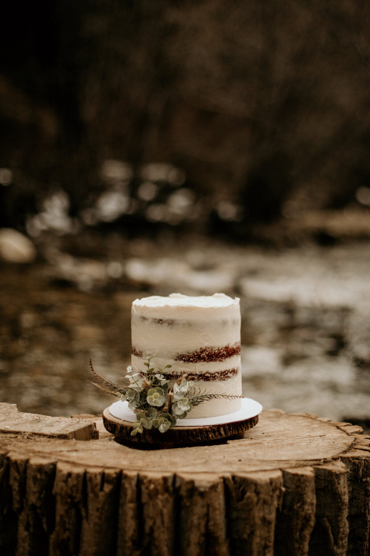 elopement cake sitting by the river