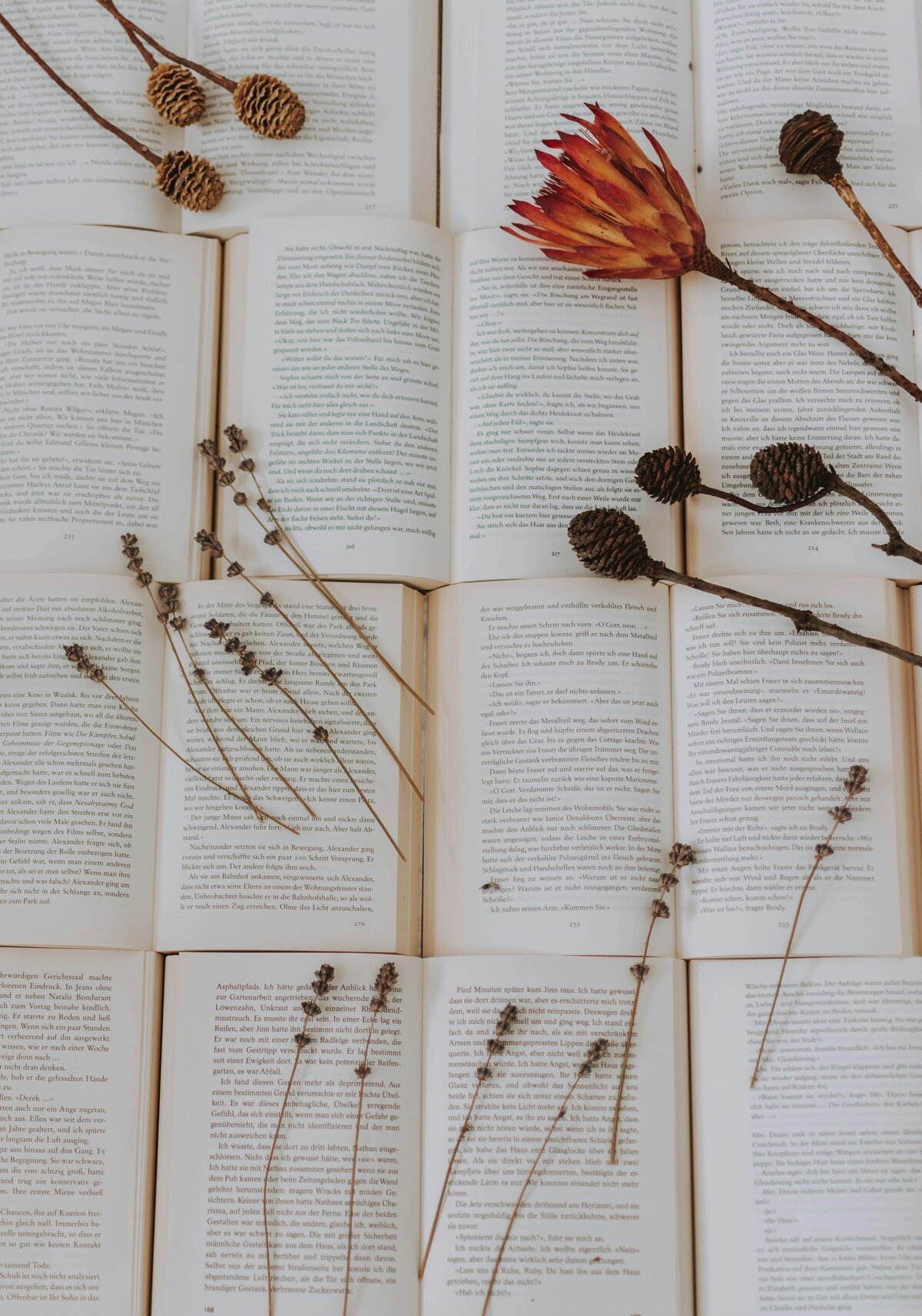 FAD pix books pexels-lilartsy-3368816