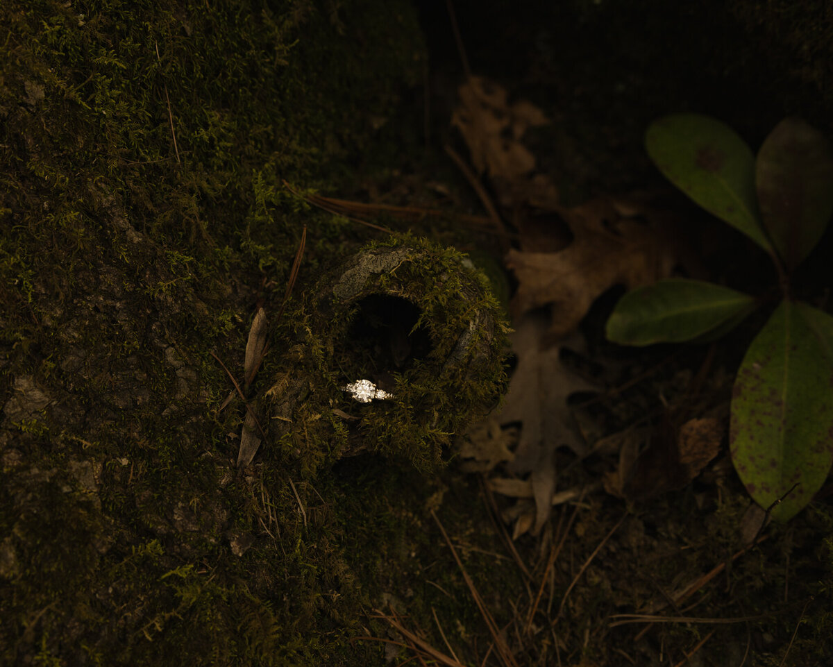 gracewaldenphotography-74