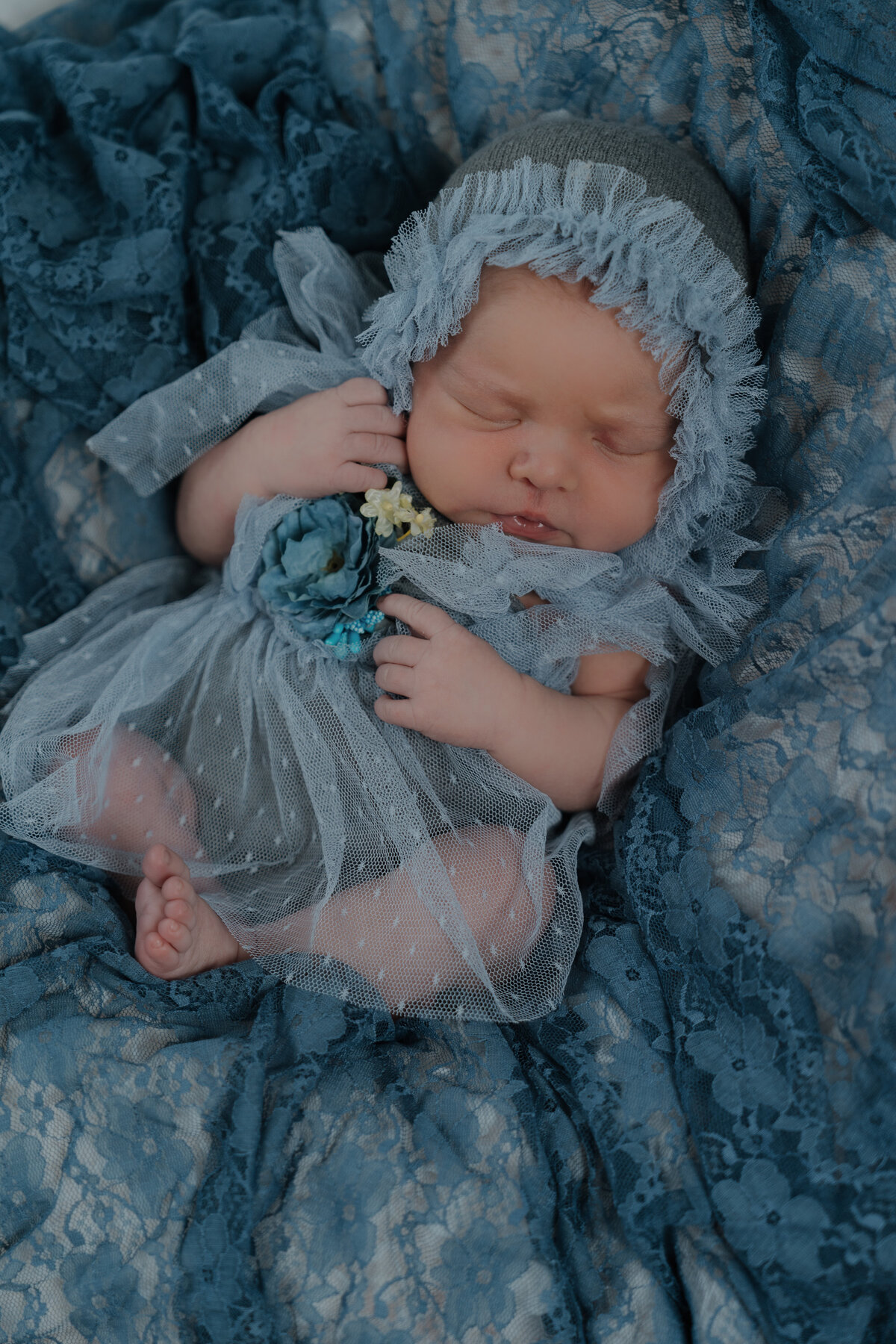 greensboro-fresh-48-newborn-photographer