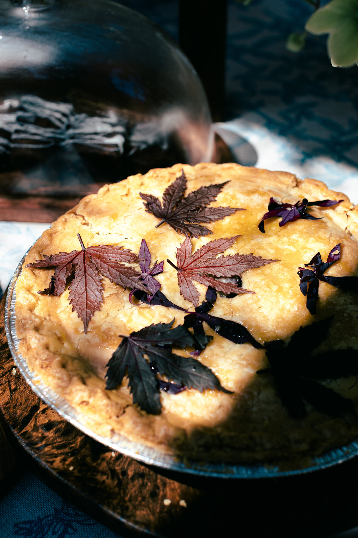 Jordyn_Dryden_Photography_Detroit_Chicago_Traverse_City_Photographer-241