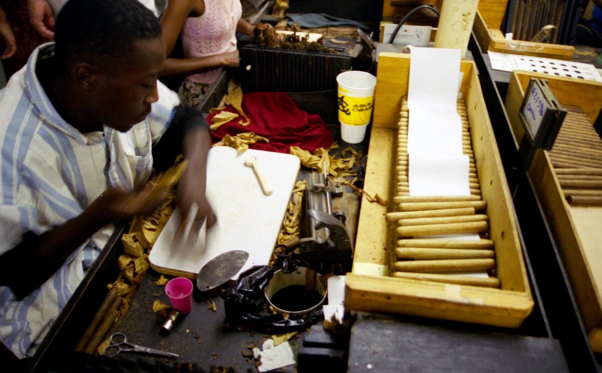 Man rolls cigars at factory in La Romana DR