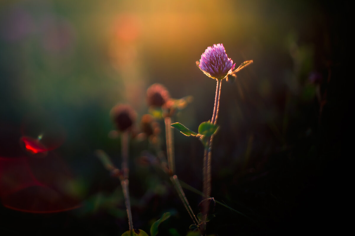 0L6A5766-Edit-2