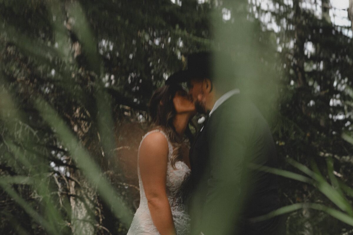 Wedding couple kissing in some trees