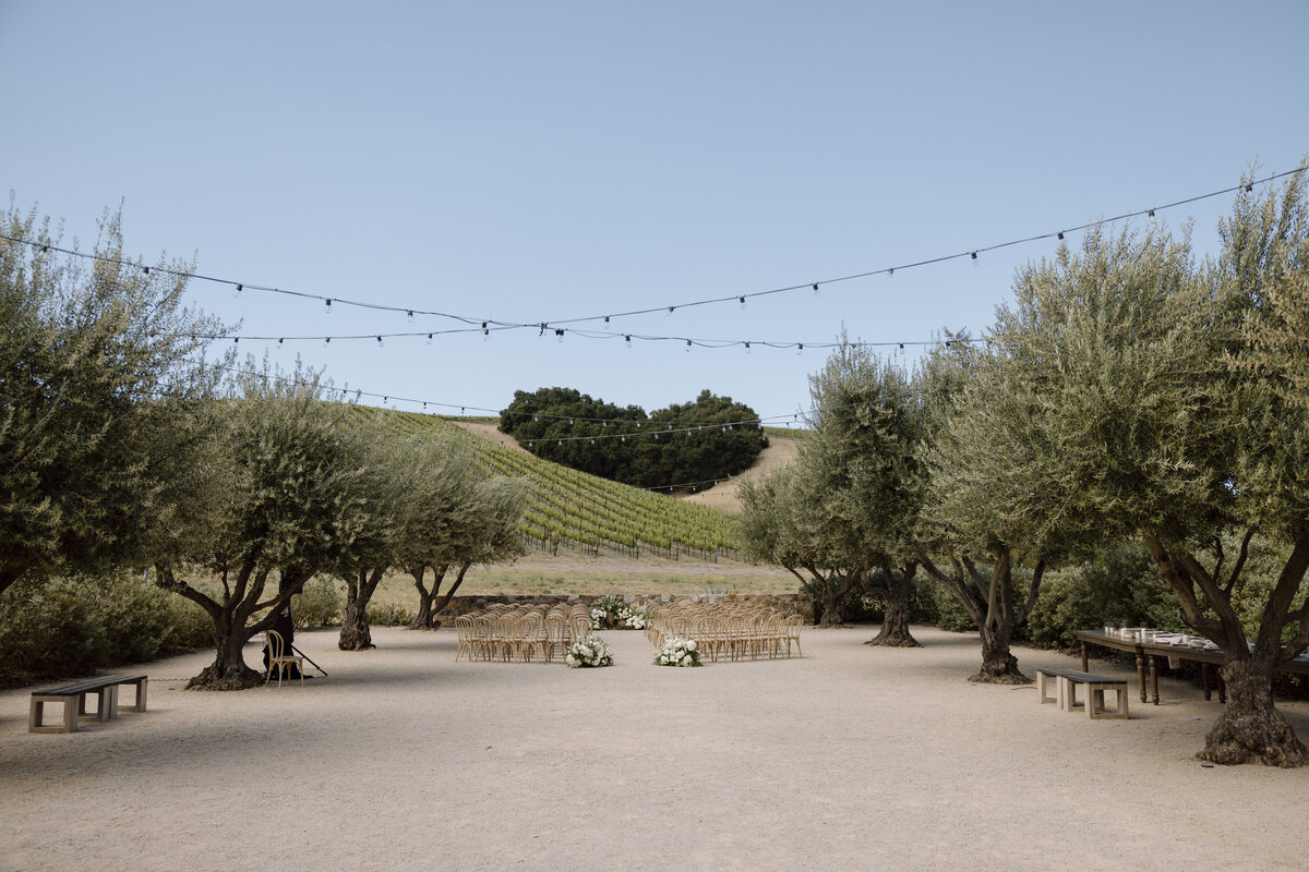 Paso Robles Wedding Photographer-19