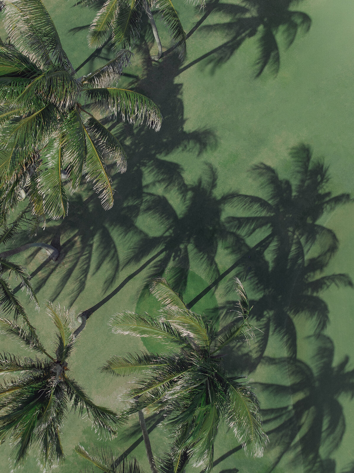 delray-beach-florida-wedding-MW-017