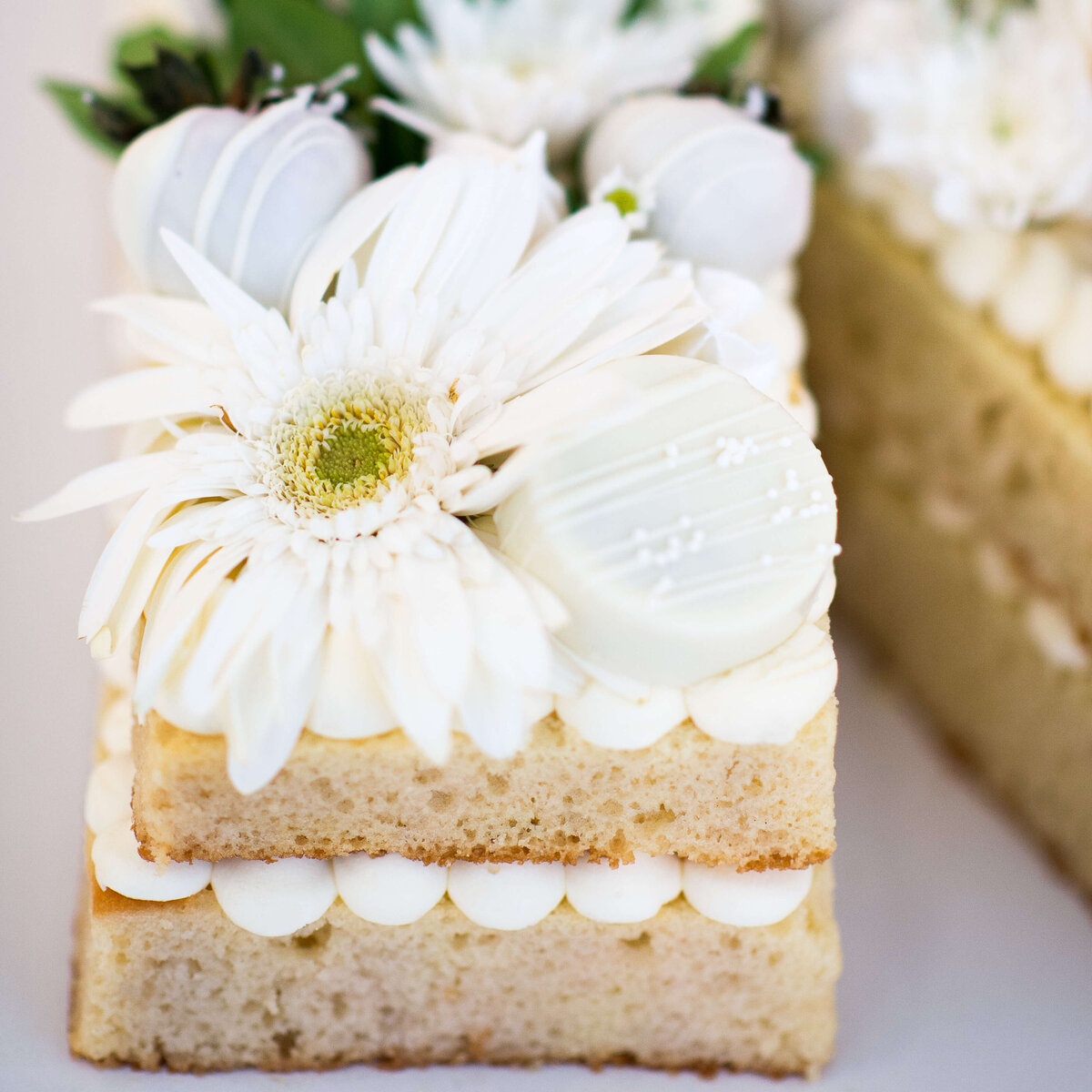 Ottawa-Event-Photographer-106-Revelle-2381