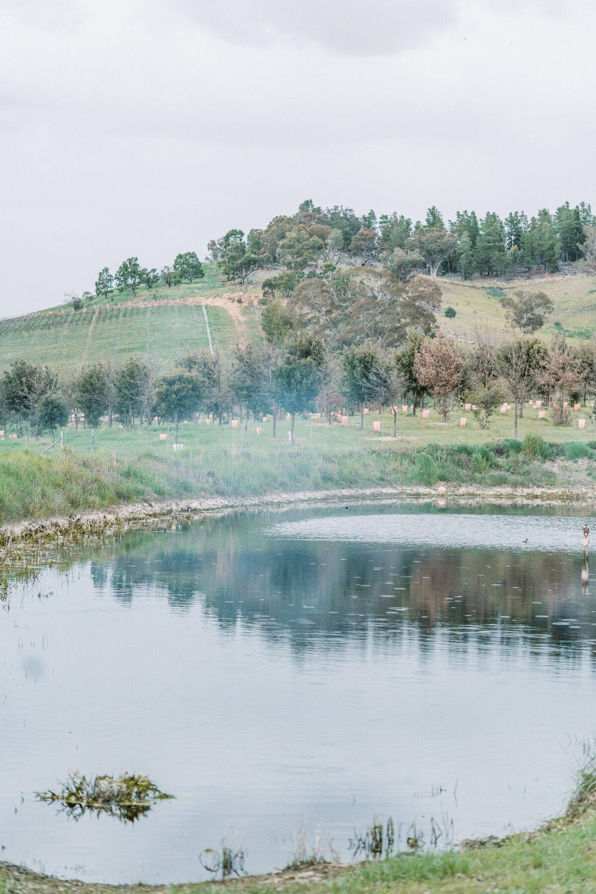 wedding photographer australia