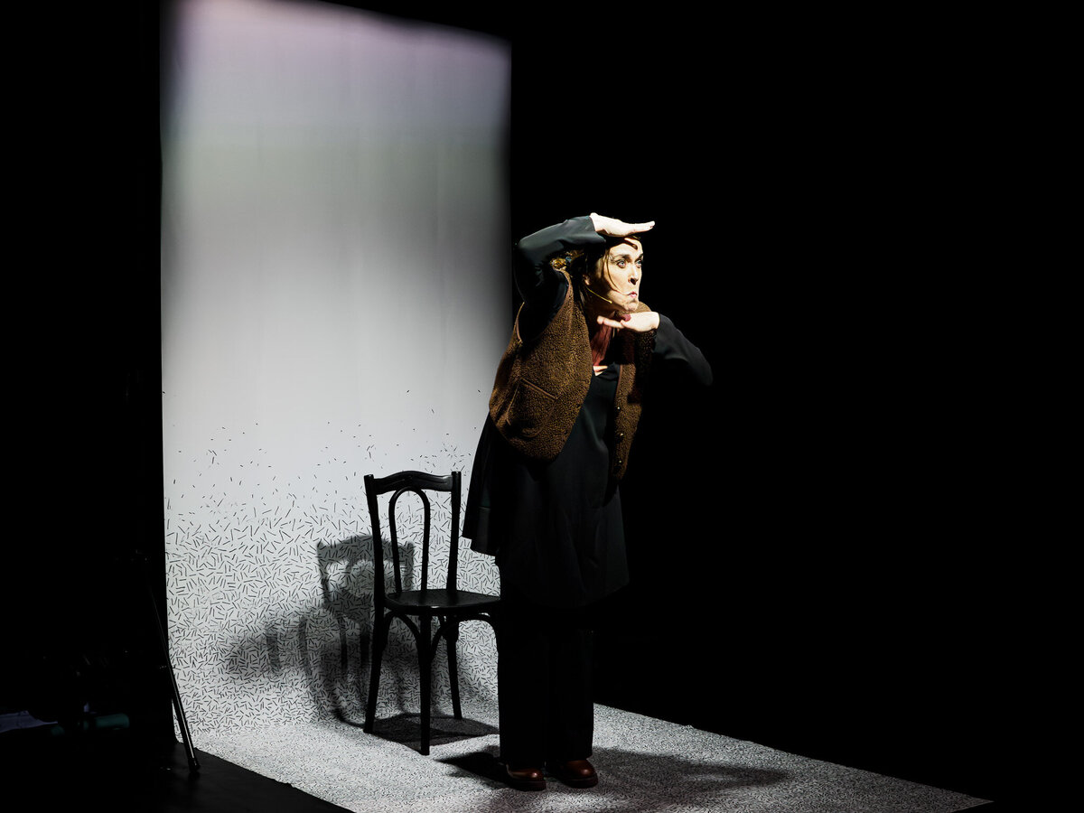 LA FILLE QUI SE SAUVE Cie Amonime TexteCléa Pétrolesi et Catherine Le Hénan_1270033-3-Enhanced-NR