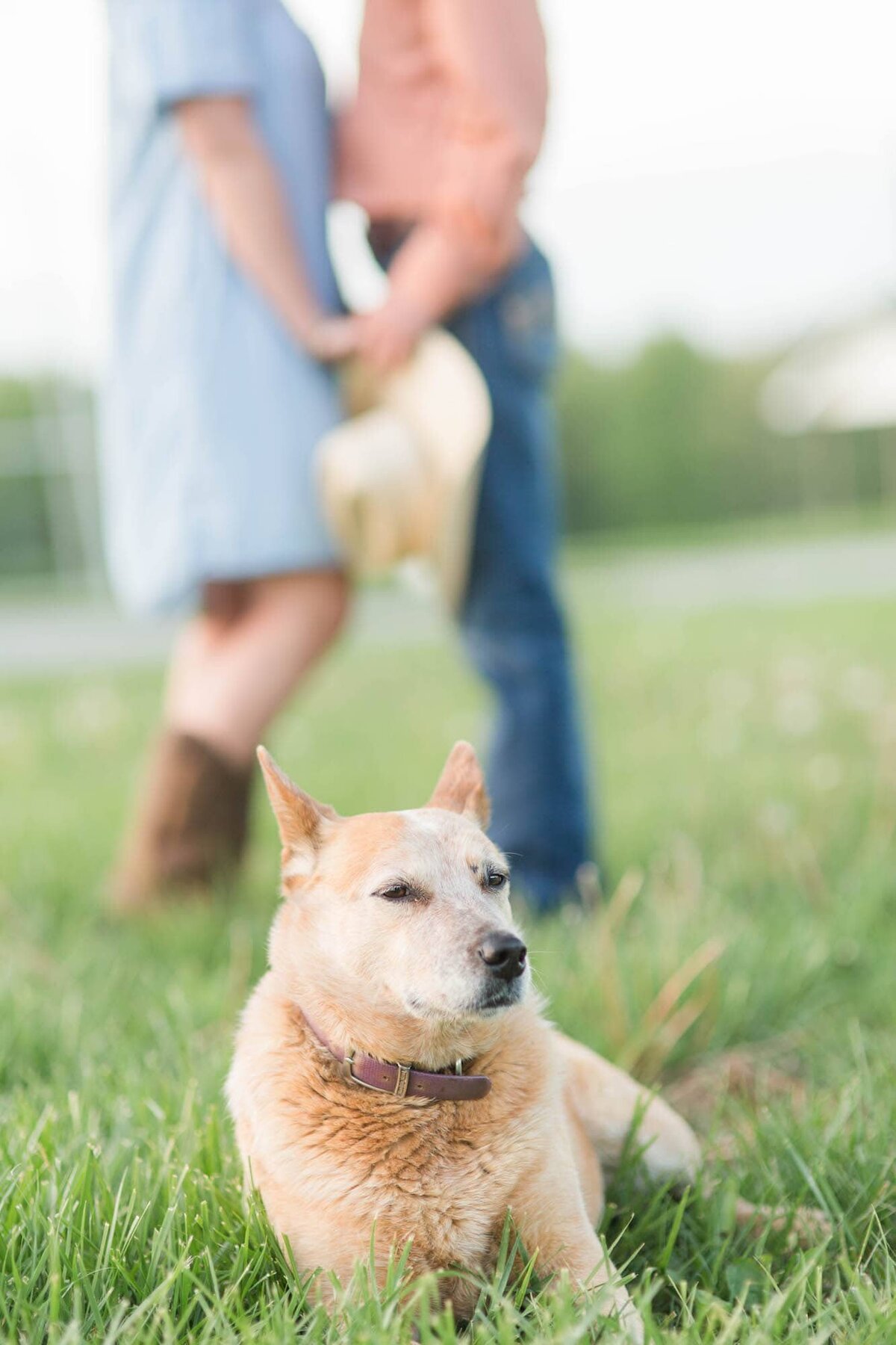 Southern-illinois-engagement-photographer-karcher-79 copy