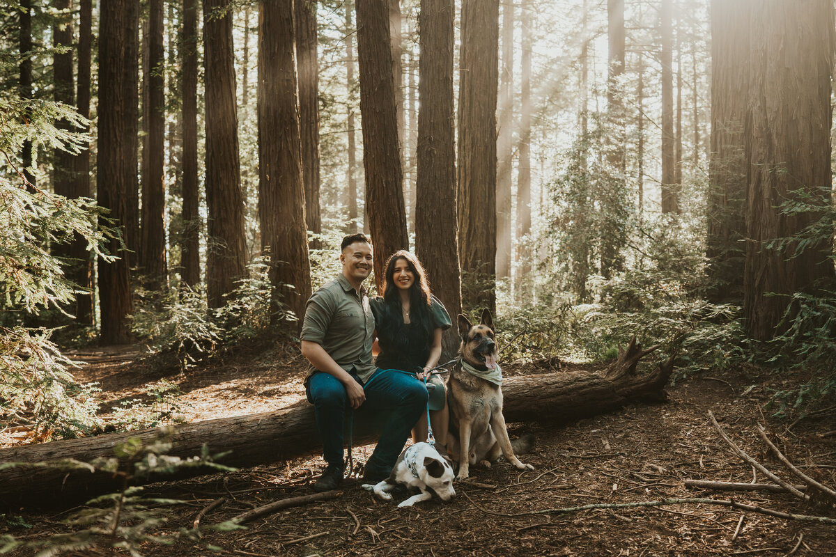 Lucas-Jackie-Family-Session-Oakland-Redwood-California-95