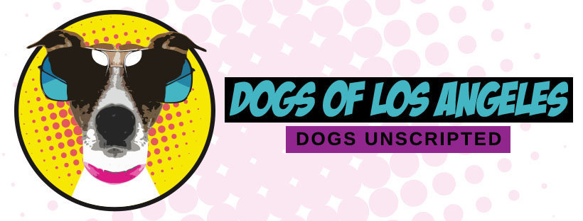 DOLA-FBCOVER