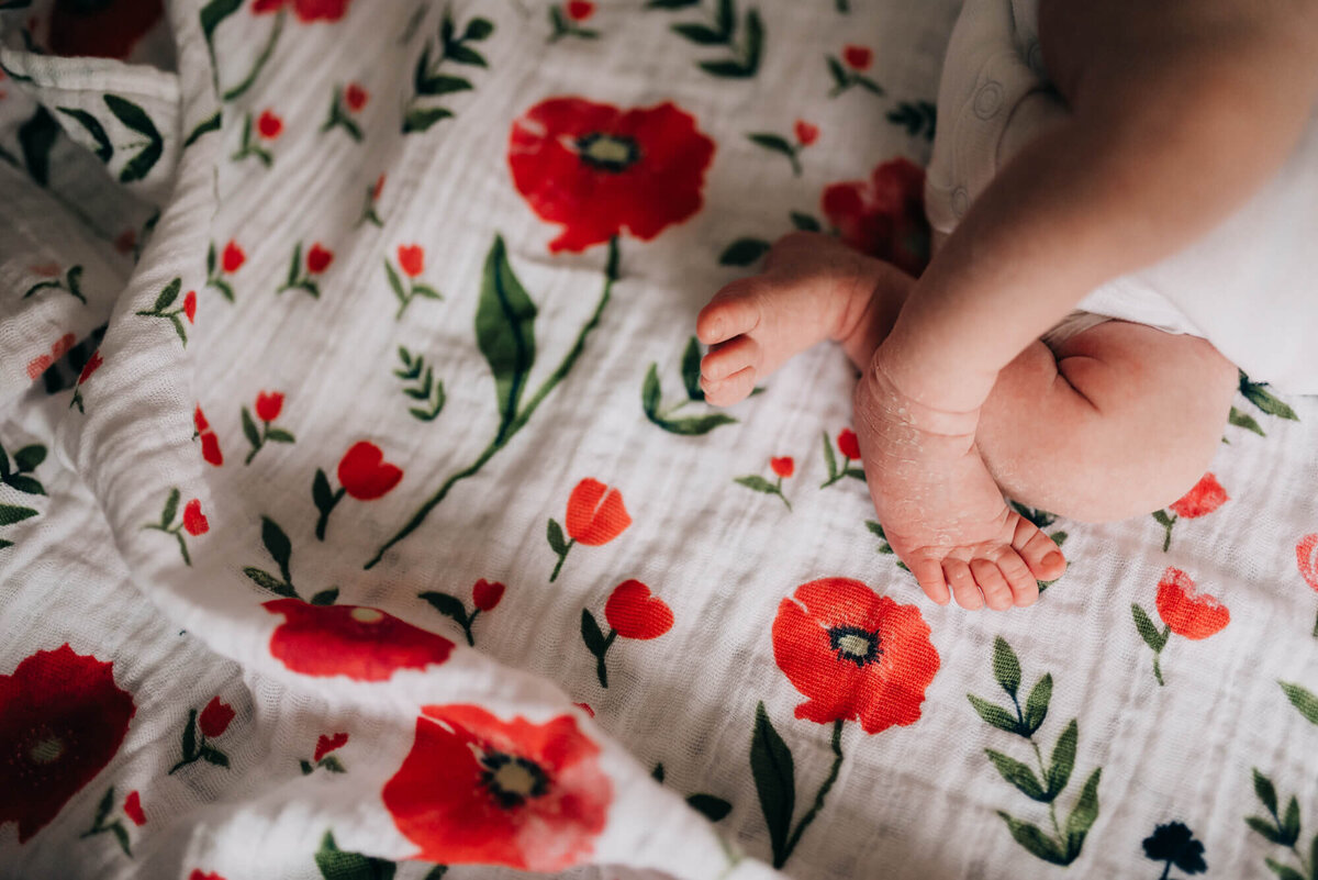 south-shore-newborn-photographer-3-7
