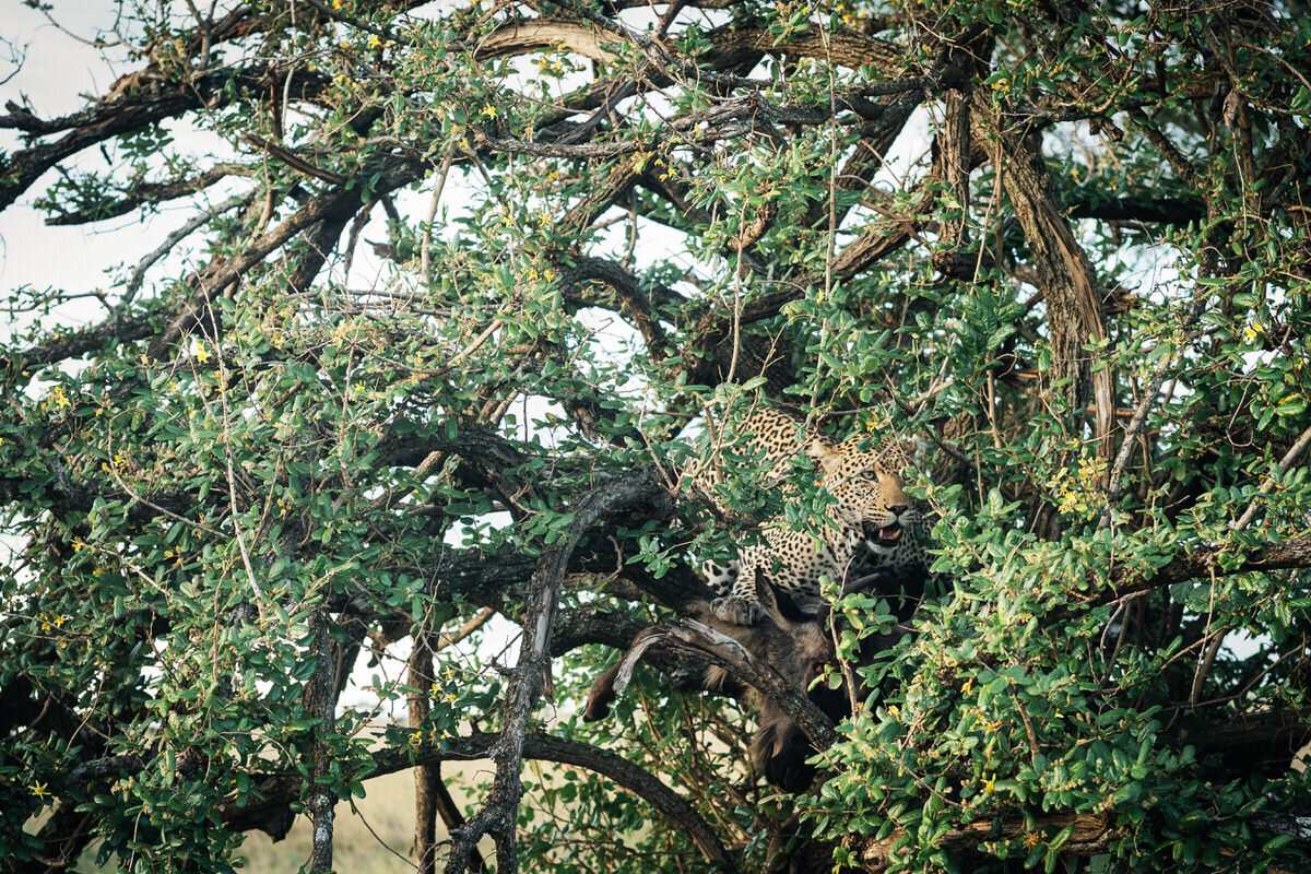 leila-brewster-photography-tanzania-0374