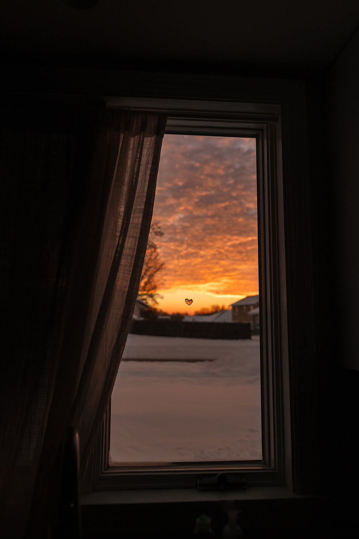 January 20 2024-