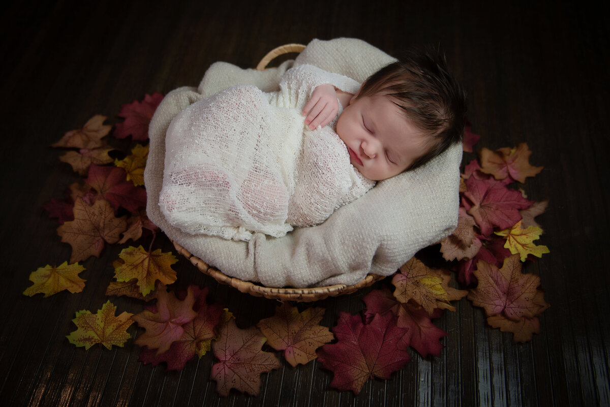 Newborn baby in basket with fall leaves in Wells Maine