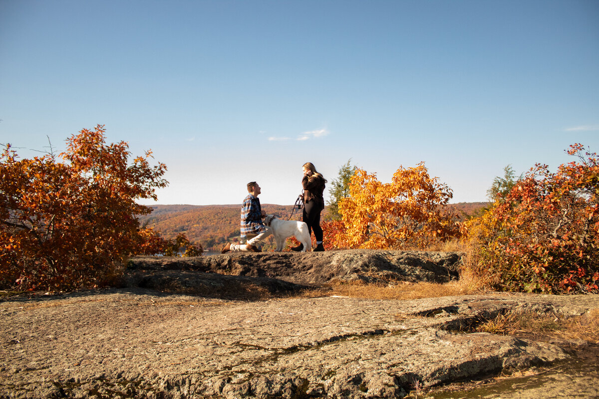 Surprise Engagement in Connecticut