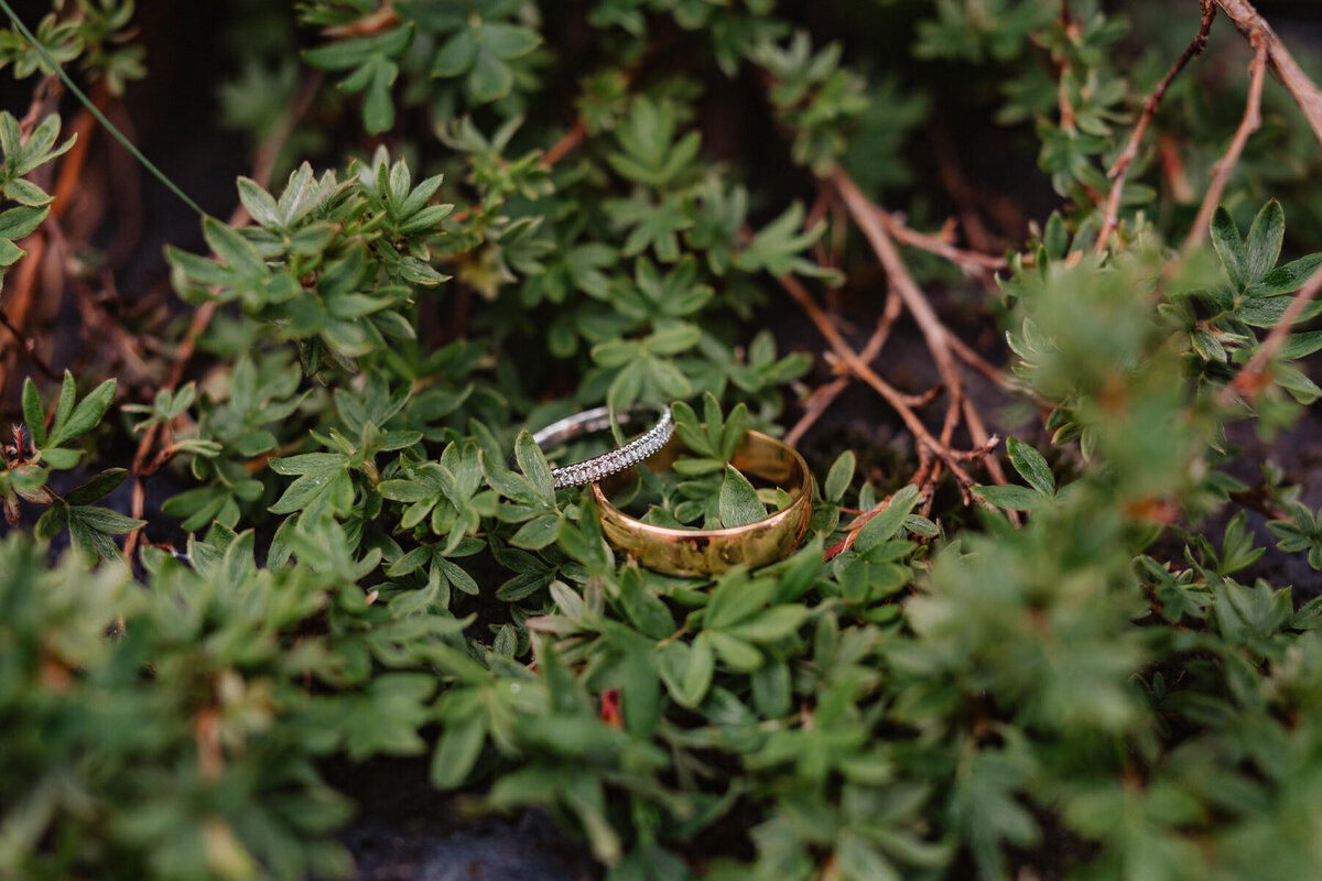 Wedding Photography and Videography in Wyresdale Park_L+J-61-1