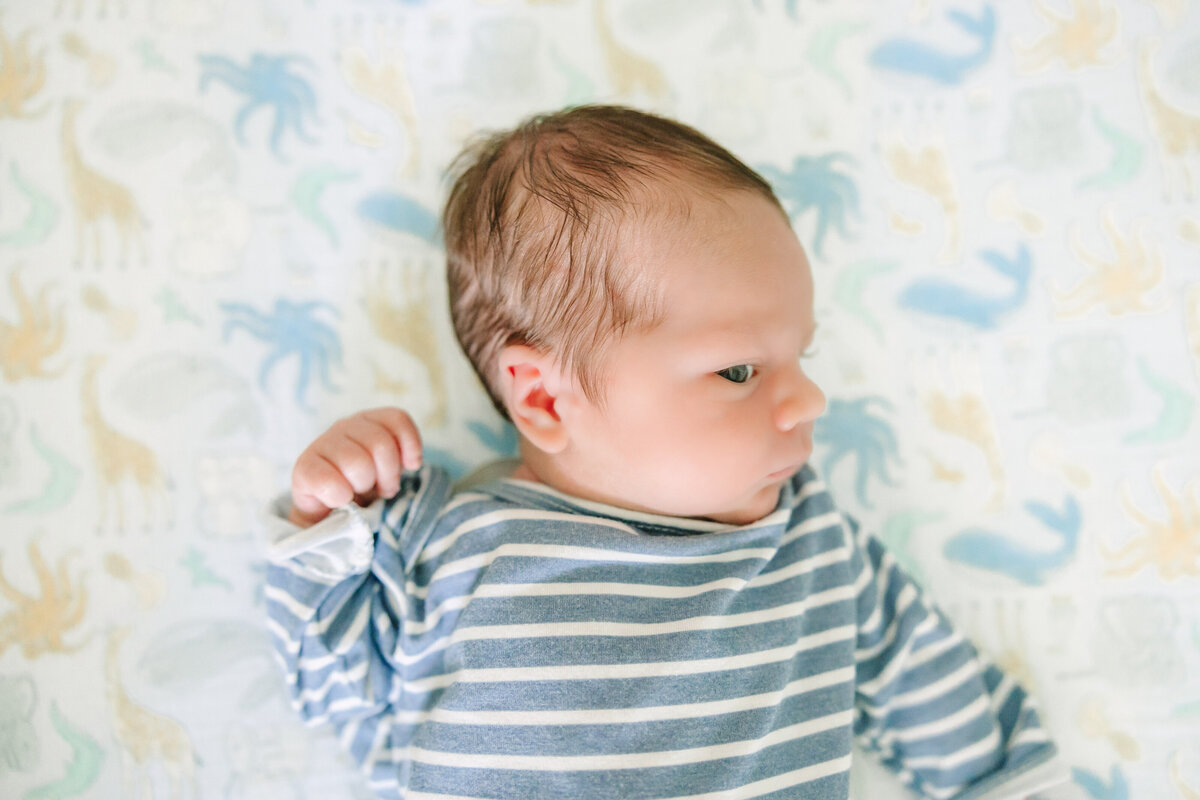 Newell Newborn - Theo-59