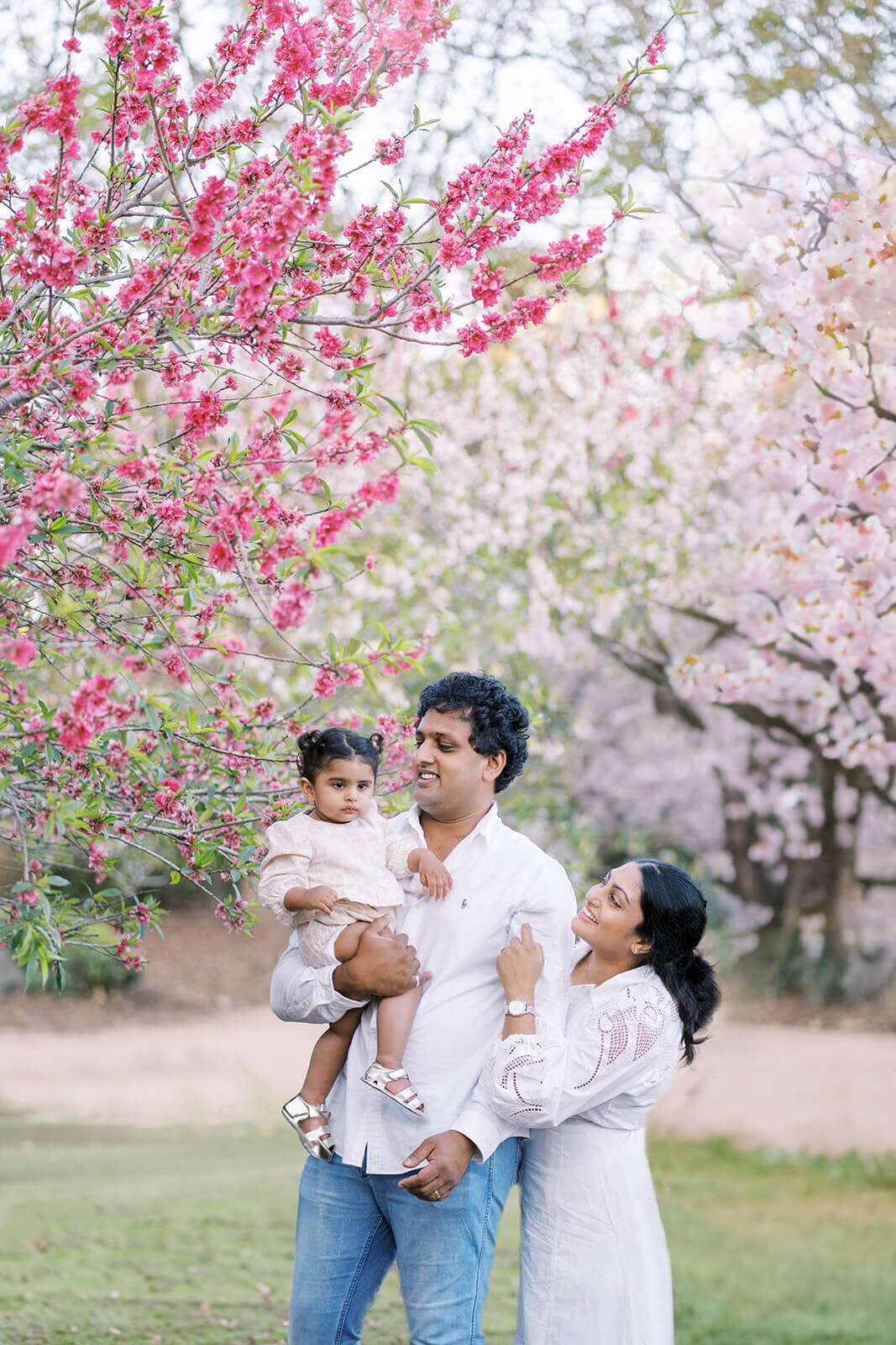 Amongst cherry blossoms, we mark our family's joy for baby's first year