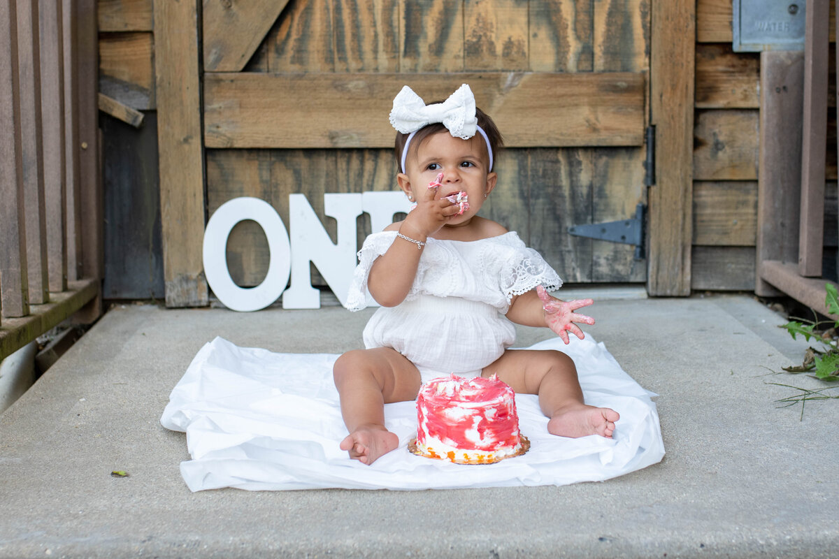 Chicago First Birthday Cake Smash Photographer2