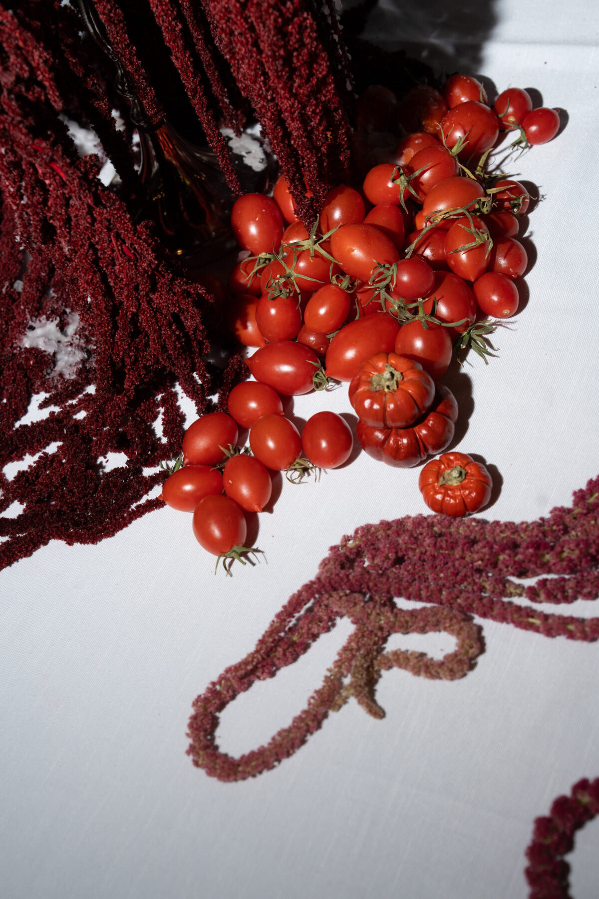 57 - Jesse and Spencer x klassen weddings x Masseria Borgo Ritella_1134