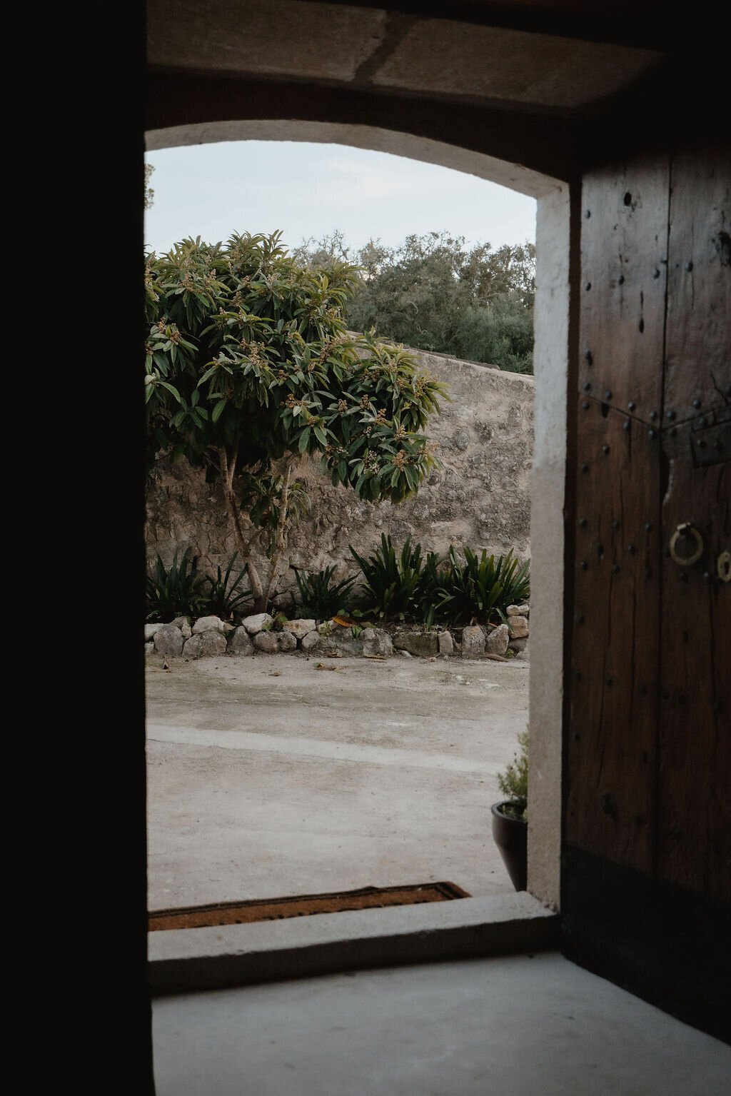 THE AWAKENING ° MIMI FIEDLER  ° NINE