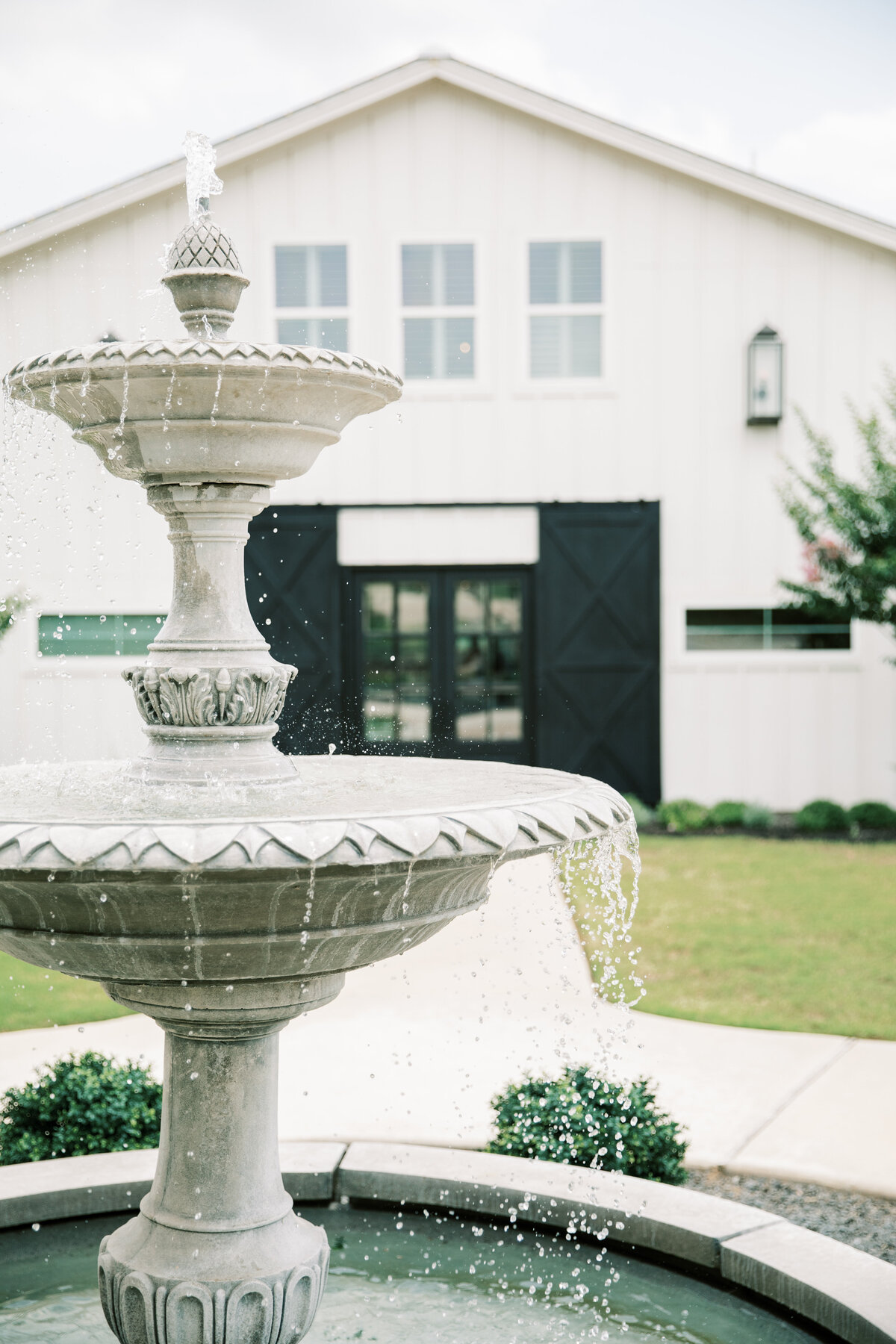 Ink & Willow Photography | Posey Meadows