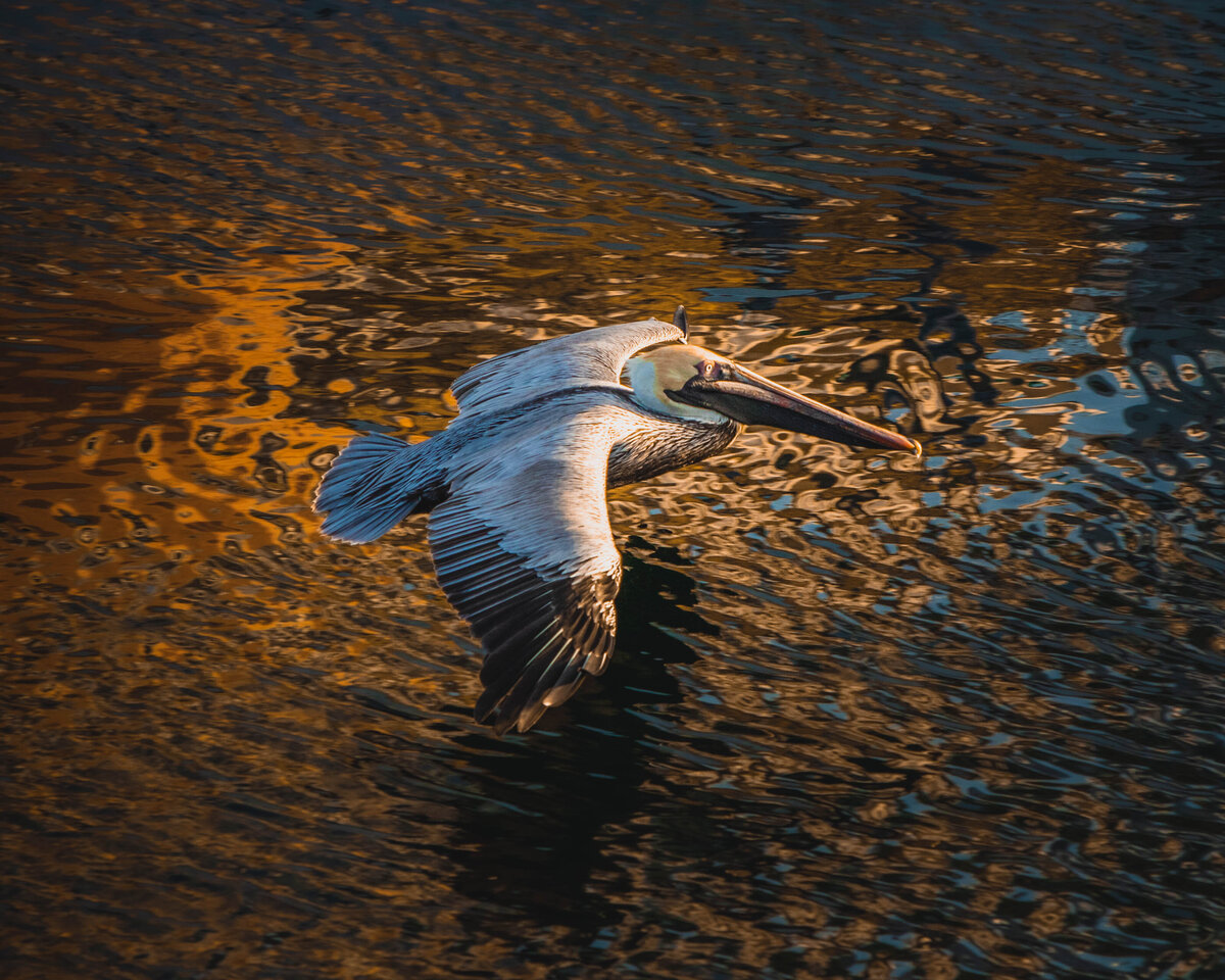 IMG_5456 copy