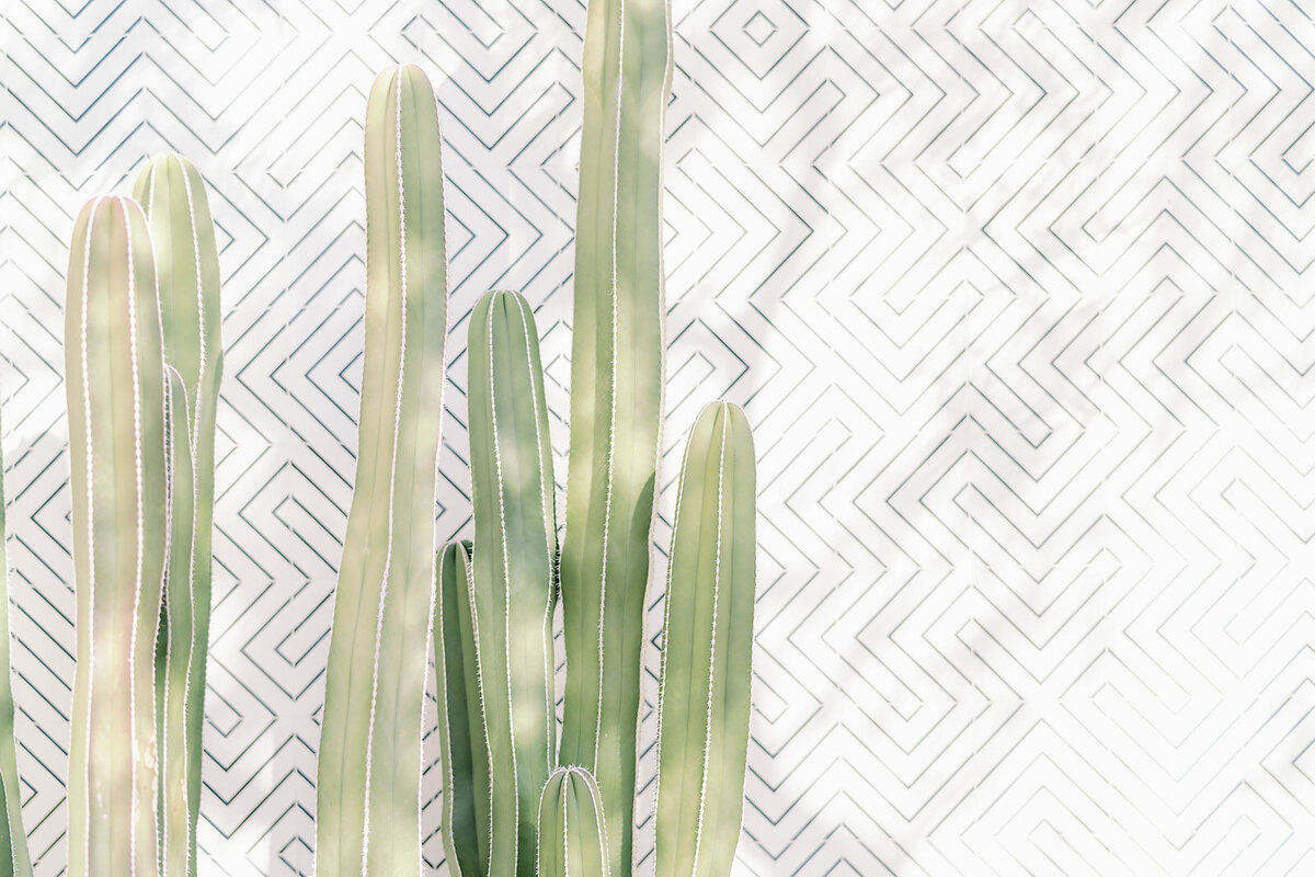 Magdalena Studios Hybrid Co March 2020 - 9_websize